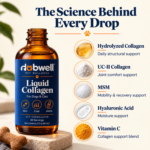 Dabwell Premium Liquid Collagen
