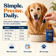 Dabwell Premium Liquid Collagen