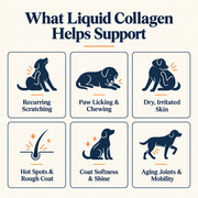 Dabwell Premium Liquid Collagen