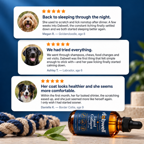 Dabwell Premium Liquid Collagen