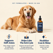 Dabwell Premium Liquid Collagen