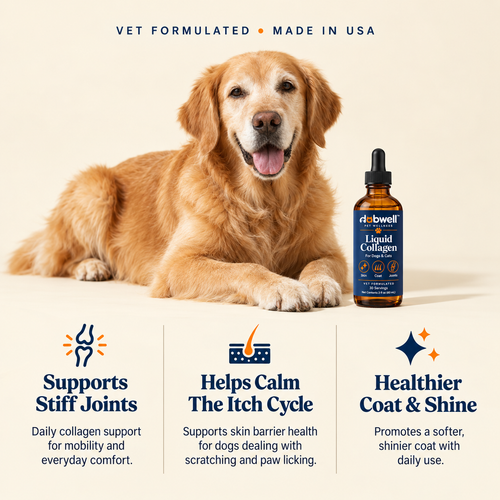 Dabwell Premium Liquid Collagen